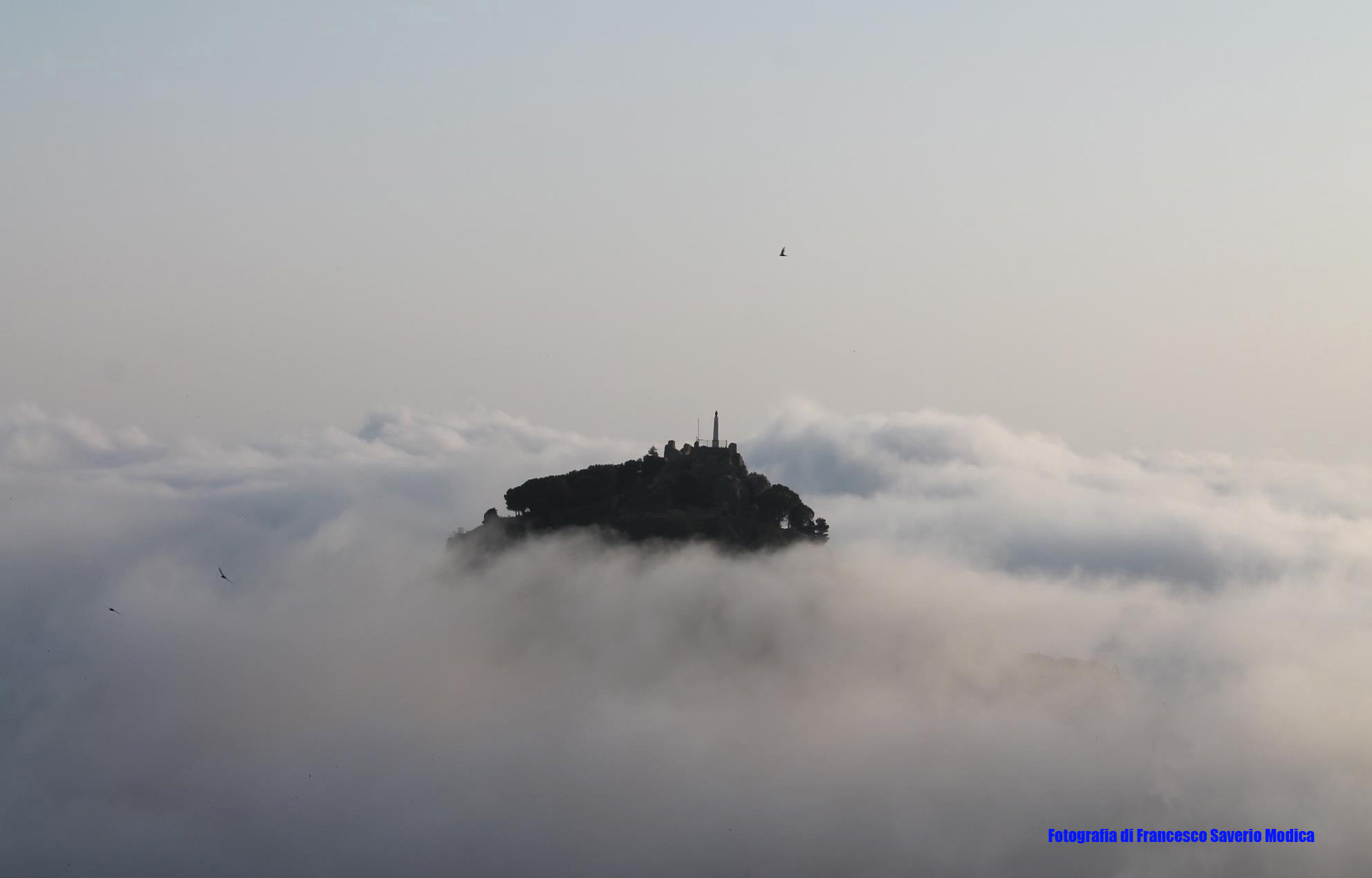 Fotografia di Francesco Saverio Modica